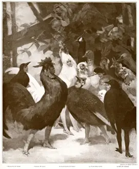 Blackbird Prints: Third act of the play Chantecler by Rostand, 1910