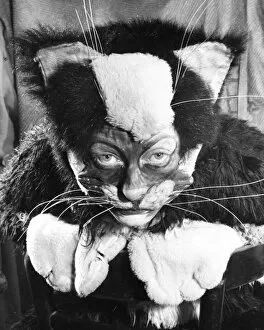 Paws Gallery: Actress Freda Wyn in cat costume for a pantomime