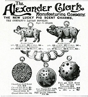 Advert for Alexander Clark novelty jewellery 1901 Advert for Alexander Clark novelty jewellery 1901