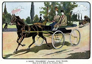 Bailey Prints: Advert, Bailey Whalebone Pneumatic Road Wagon