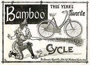 Bamboo Gallery: Advert, The Bamboo Cycle Co Ltd