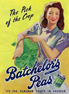 Flavour Collection: Advertisement for Batchelors Peas