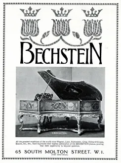 Tulips Prints: Advert, Bechstein Pianos, South Molton Street, London