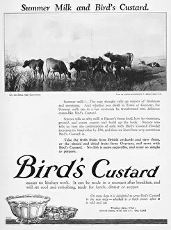 Advert for Birds custard, 1926