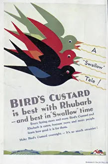 Advert for Bird's Custard, highlighting its nutritional value when served with rhubarb. Date: 1932