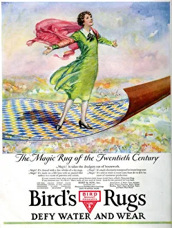 Defy Prints: Advertisement, Birds Rugs Advertisement, Birds Rugs