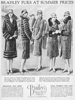 Advert for Bradleys fur coats, London, 1926