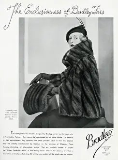 Mink Prints: Advert for Bradleys quality mink 1934