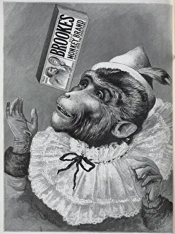 Advertisement, for Brookes Soap, Monkey Brand