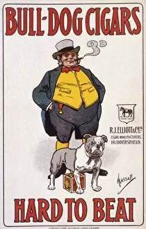 Images Dated 27th October 2011: Advert / Bulldog Cigars