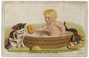 Kittens Collection: Advert / Cleavers Soap