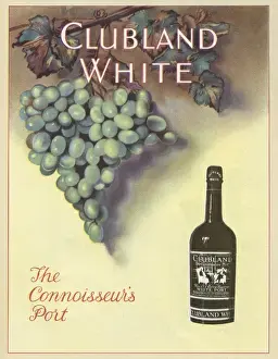 Grapes Prints: Advertisement, Clubland White port