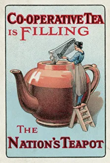 Nation Collection: Advert, Co-Operative Tea is filling the Nation's Teapot