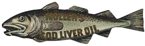Medicines Prints: Advert / Cod Liver Oil