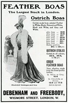 Freebody Collection: Advert for Debenham & Freebody feather boas 1905