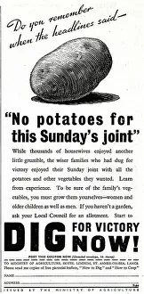 Grow Prints: Advert, Dig for Victory Now! Ministry of Agriculture, WW2