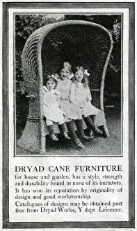 Dryad Prints: Advertisement, Dryad Cane Furniture