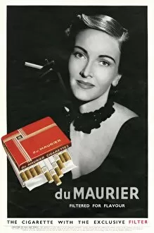 Images Dated 7th January 2012: Advertisement for Du Maurier cigarettes