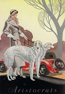 Breeds Collection: Advert / Dunlop Tyres 1933