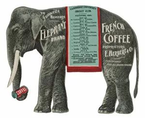 Images Dated 18th October 2007: Advert / Elephant Coffee