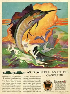 Advert, Ethyl Gasoline motor fuel