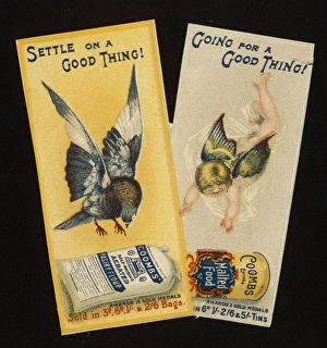 Advert/Flour Coombs