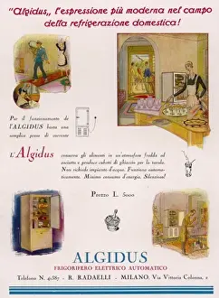 Refrigerator Prints: Advert / Fridge Ilz 1930
