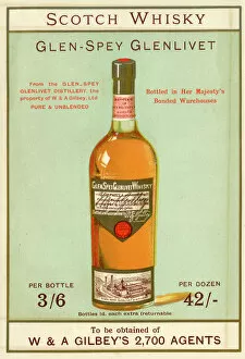 Drink Gallery: Advertisement, Gilbeys Scotch Whisky, Glen-Spey Glenlivet