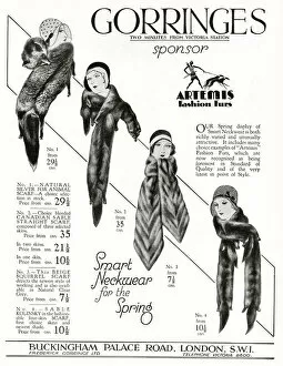 Advert for Gorringes: womens animal scarves 1930