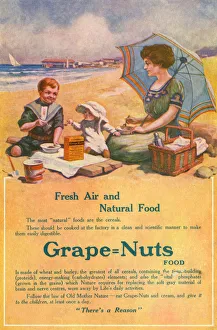 Nuts Gallery: ADVERT / GRAPE NUTS 1913