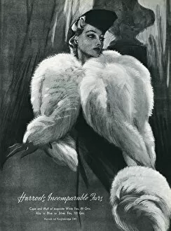 Capes Collection: Advert for Harrods white fox capes and muffs 1937