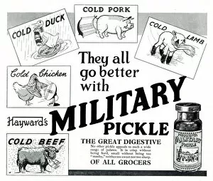 Advert, Hayward's Military Pickle