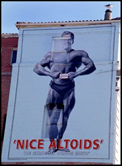 Advertising hoarding on the side of a building with seagull