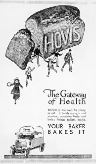 Hovis Prints: Advert / Hovis Bread 1920