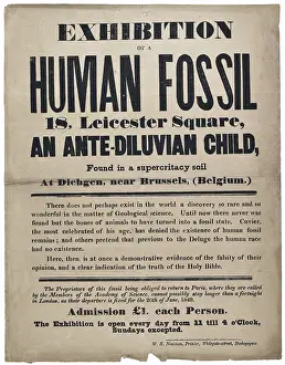 Handbill Prints: Advertisement for a Human Fossil