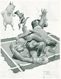 Lawson Collection: Advertisement Illustration Monkey Wrestle