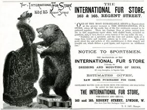 Advert for International Fur Store 1882