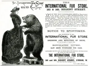 Bustles Prints: Advert for International Fur Store 1882