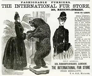 Furriers Prints: Advert for International Fur Store 1886