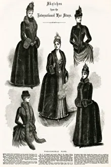 Images Dated 16th October 2019: Advert for International Fur Store 1886