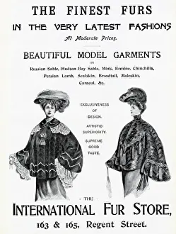 Advert for International Fur Store 1903