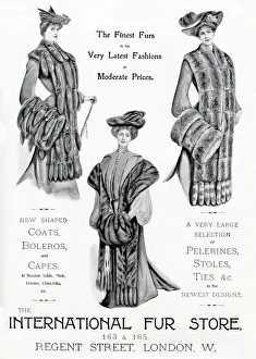 Images Dated 8th November 2019: Advert for International Fur Store 1903