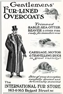 Overcoat Gallery: Advert for International Fur Store 1903
