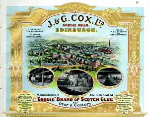 Souvenir Prints: Advert, J & G Cox Ltd, Gorgie Mills, Edinburgh, Scotland