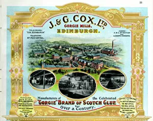 Manufacturers Gallery: Advert, J & G Cox Ltd, Gorgie Mills, Edinburgh, Scotland