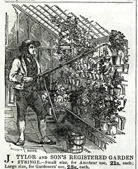 Chronicle Collection: Advert, J Tylor and Son's registered garden syringe