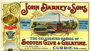 Manufacturers Gallery: Advert, John Darley & Sons, Glue & Gelatine, Currie, Scotlan