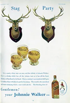 Beverage Prints: Advert for Johnnie Walker whisky