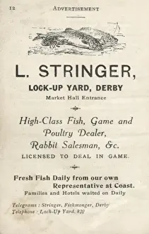 Telegrams Prints: Advertisement for L Stringer, fish, game and poultry dealer