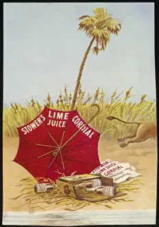 Advert / Lime Juice 3 / 5